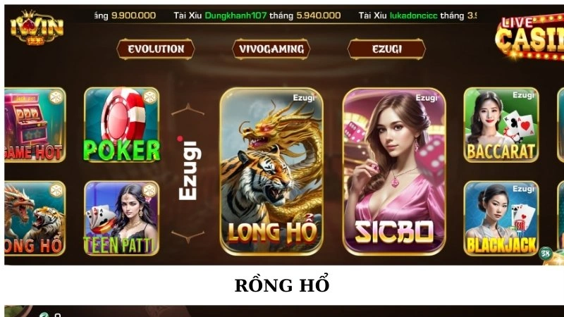 Rồng hổ